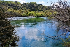 Taupo - 18 - Waikato River