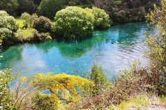 Taupo - 21 - Waikato River