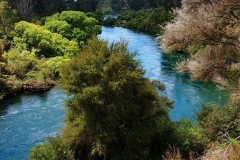 Taupo - 25 - Waikato River