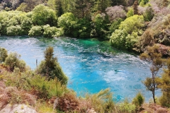 Taupo - 26 - Waikato River