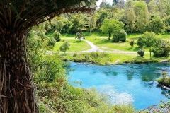 Taupo - 29 - Waikato River