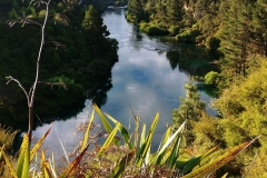 Taupo - 35 - Waikato River