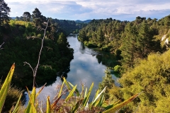 Taupo - 36 - Waikato River