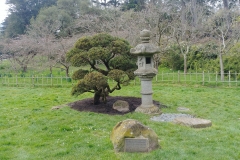 San Francisco - 47 - Golden Gate Park - Tea Garden