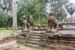 The Bayon Temple - monkeys