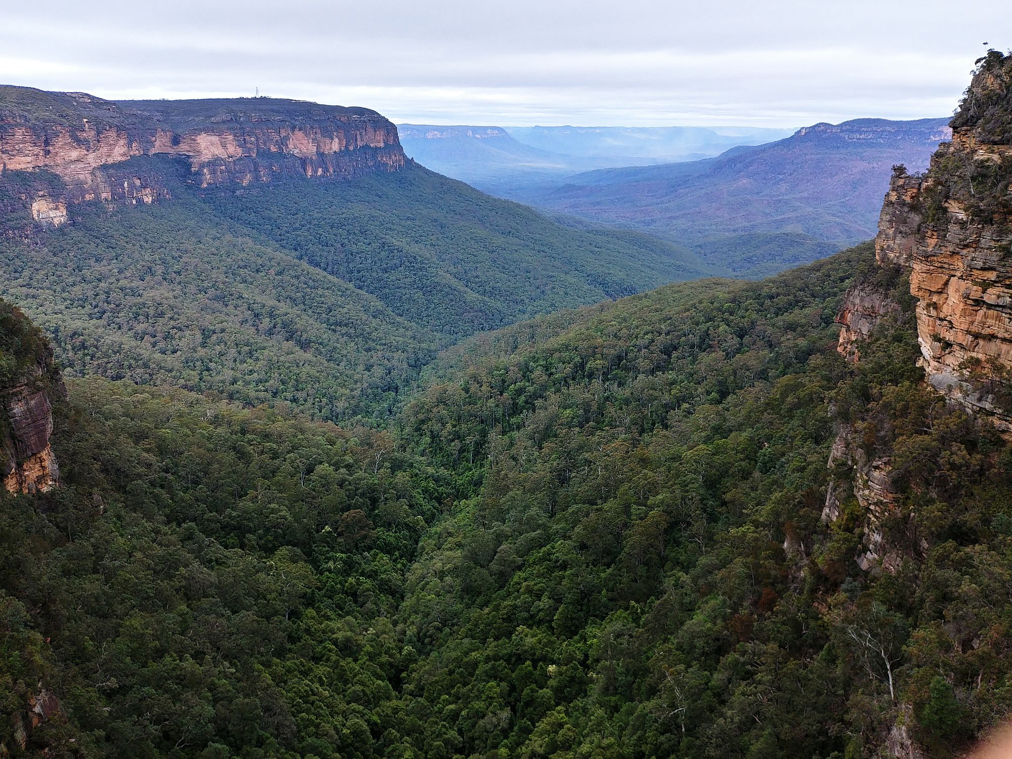 The Blue Mountains - Queen Victoria Lookout - 04