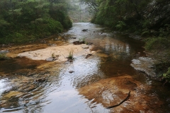 The Blue Mountains - Darwin Walk 02