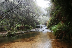 The Blue Mountains - Darwin Walk 05