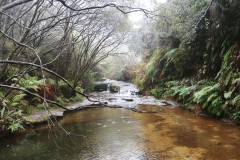 The Blue Mountains - Darwin Walk 06