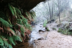 The Blue Mountains - Darwin Walk 07