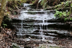 The Blue Mountains - Den Fenella Creek 02