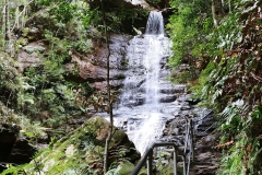 The Blue Mountains - Empress Falls 05