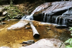 The Blue Mountains - Empress Falls 06