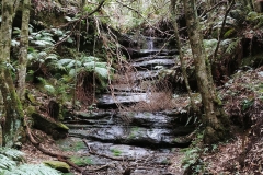 The Blue Mountains - Isobel Creek 01