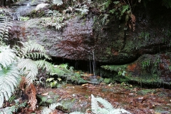 The Blue Mountains - Isobel Creek 03