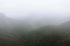 The Blue Mountains - Lyrebird Lookout