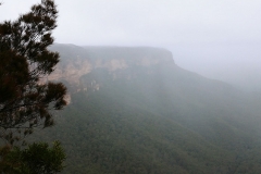 The Blue Mountains - Lyrebird Lookout2