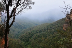 The Blue Mountains - Mist coming in