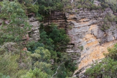 The Blue Mountains - Queen Victoria Lookout - 01