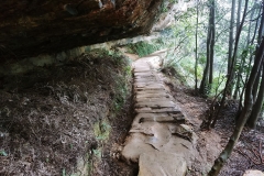 The Blue Mountains - Undercliff Walk