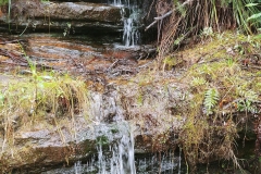 The Blue Mountains - Wentworth Falls 03 - Tributary