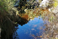 The Grampians - Grand Canyon - 05