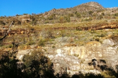 The Grampians - Heatherlie Quarry - 04 - Cliff face with mountain goat