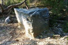 The Grampians - Heatherlie Quarry - 11 - Stone with marks of feathering