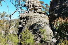 The Grampians - Lakeview Lookout 03 - Sheep