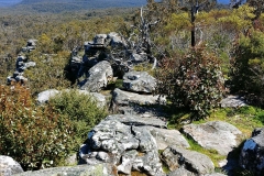 The Grampians - Reeds Lookout - 05