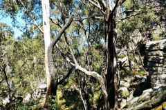 The Grampians - Sundial Peak - 04