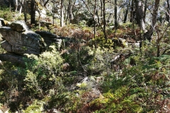 The Grampians - Sundial Peak - 05