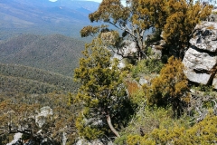 The Grampians - Sundial Peak - 10