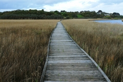 Princetown Wetlands - 02