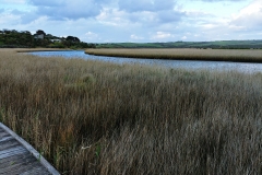 Princetown Wetlands - 03