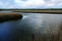 Princetown Wetlands - 04