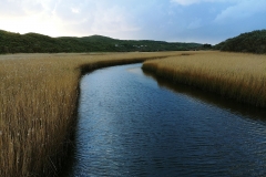 Princetown Wetlands - 05
