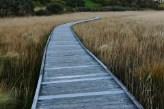 Princetown Wetlands - 06