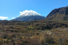 Tongariro National Park - 100