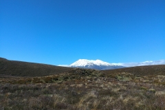 Tongariro National Park - 104