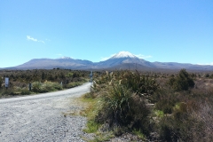 Tongariro National Park - 106