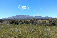 Tongariro National Park - 109