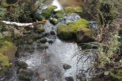 Tongariro National Park - 11 - Stream