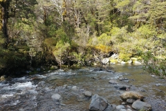 Tongariro National Park - 12 - Taranaki Stream