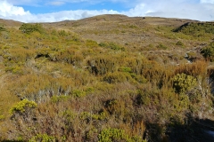 Tongariro National Park - 15