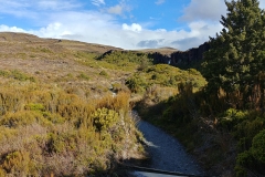 Tongariro National Park - 16
