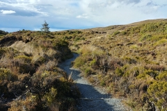 Tongariro National Park - 18