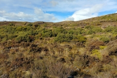 Tongariro National Park - 19