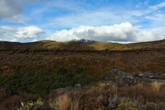 Tongariro National Park - 26