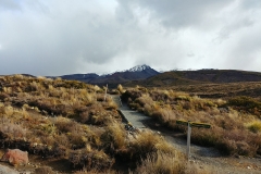 Tongariro National Park - 28